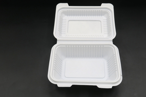 Pack de boîtes à lunch à clapet en plastique pour emporter des aliments