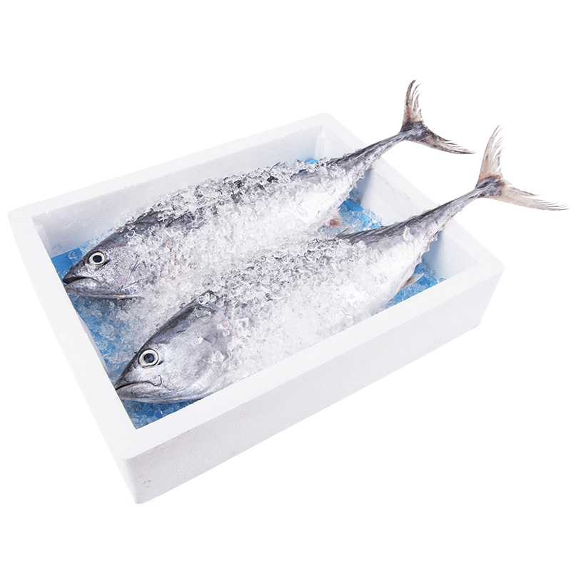 Commerce de gros Sap Soaker poisson fruits de mer tampon absorbant l'eau douce