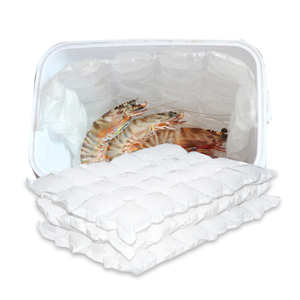 Sac isotherme jetable personnalisé Lunch Box Ice Pack